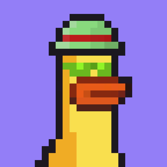 duck