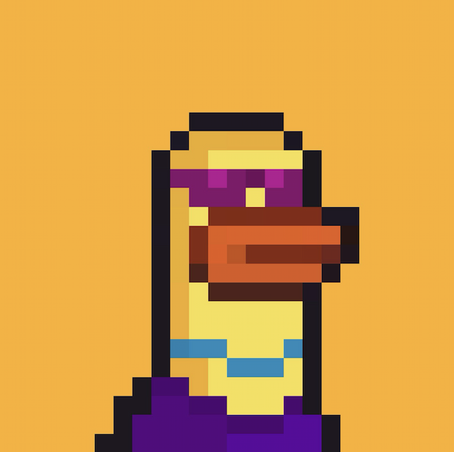 duck