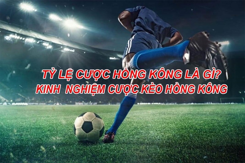 Tỷ lệ cược Hồng Kông là gì và cách chơi cược Hồng Kông